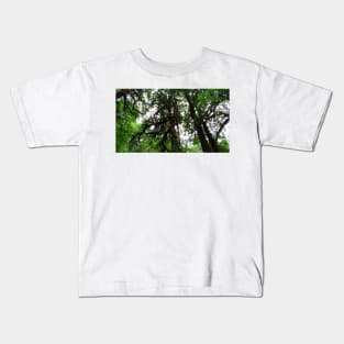 Silver Falls State Park Oregon Kids T-Shirt